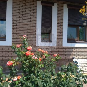 Плитка Loft Brick Salt Будинок м. Одеса Фото 5