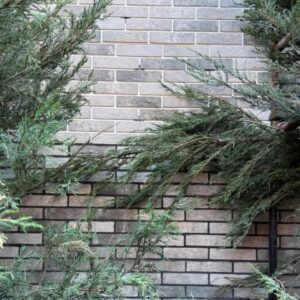Плитка Klinker Brick Grey Готель "Золоте руно" Житомирська обл. Фото 4