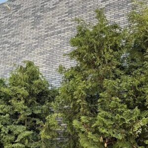 Плитка Klinker Brick Grey Готель "Золоте руно" Житомирська обл. Фото 7